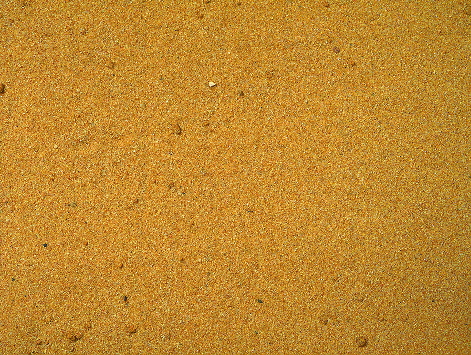 schuifelen Minder De eigenaar Terrarium zand Geel 5kg - henava